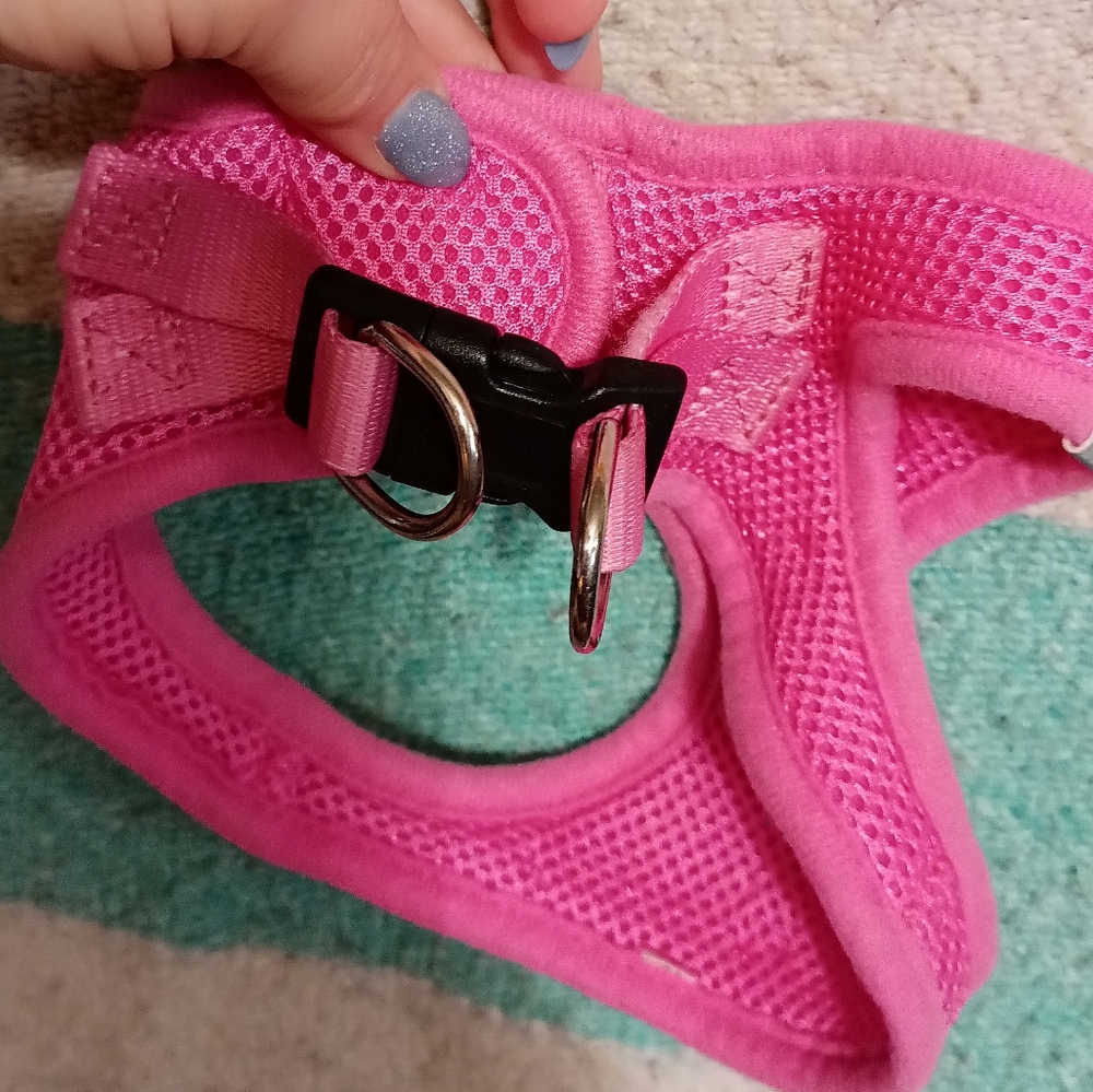 Dog harnessed - Picture 2 of 4